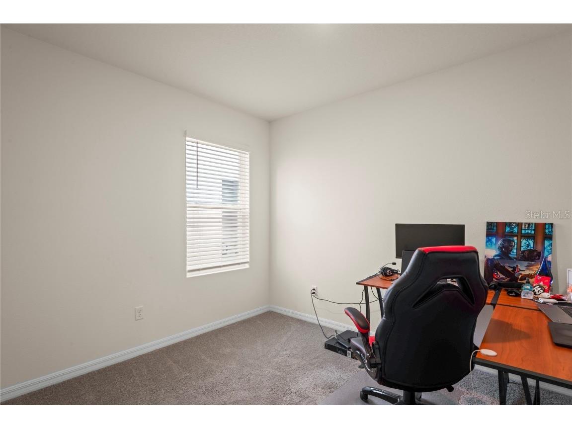 5675 Chorleywood Lane Wesley Chapel FL 33545 TB8431784 image28