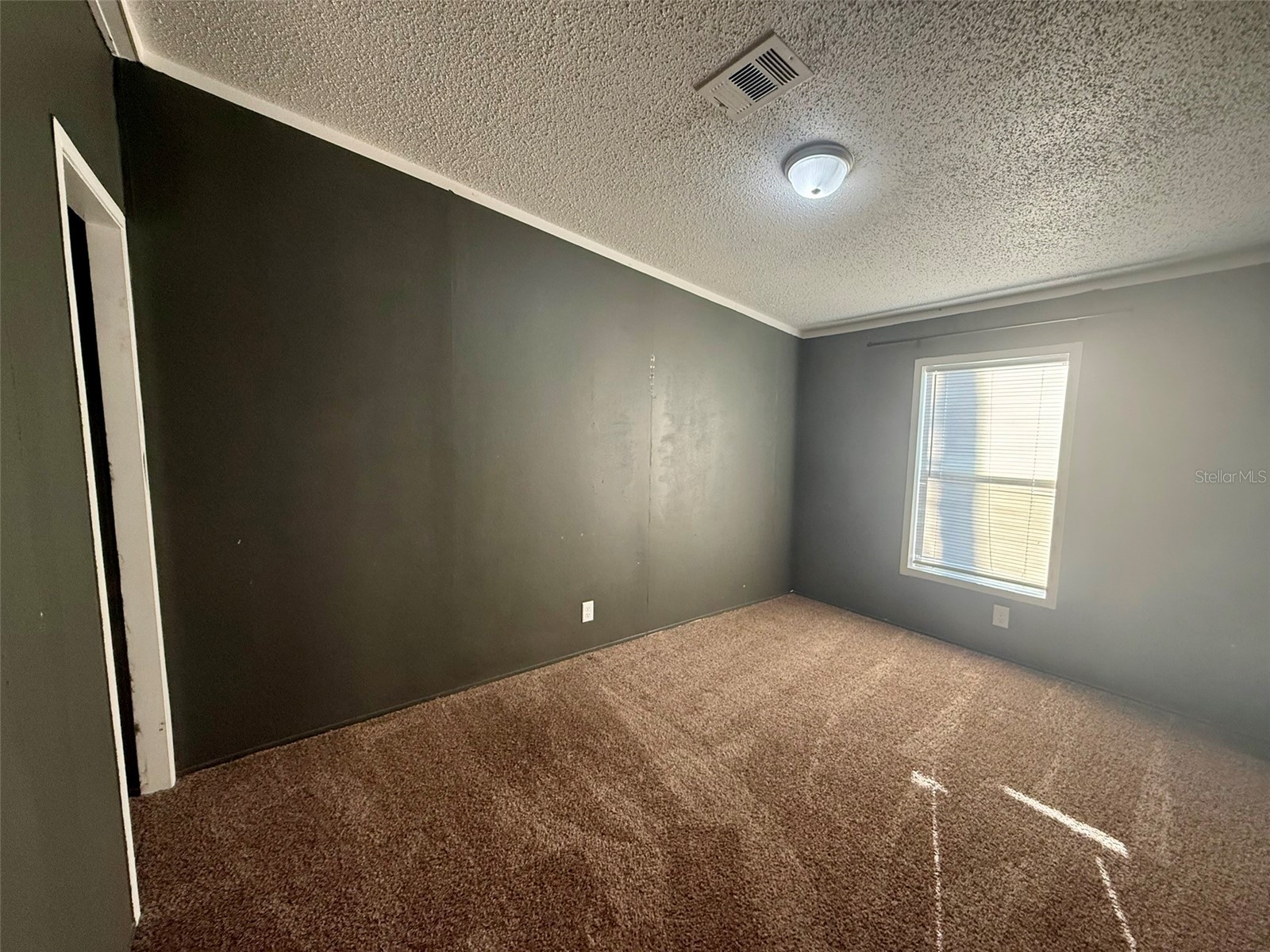 5676 Cherry Tree Drive Lakeland FL 33811 P4937781 image20