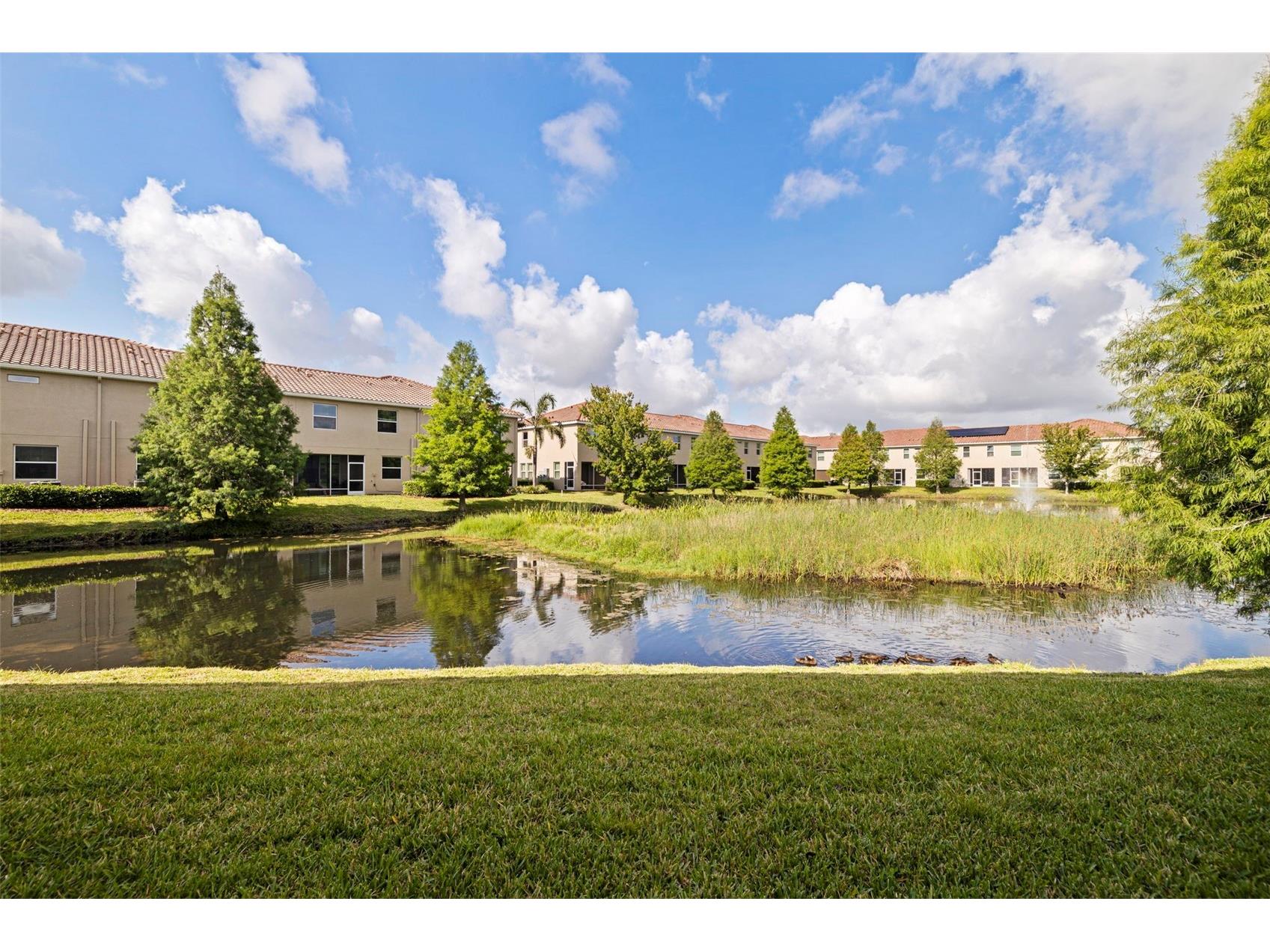 568 53rd Avenue N Saint Petersburg FL 33703 TB8507177 image34