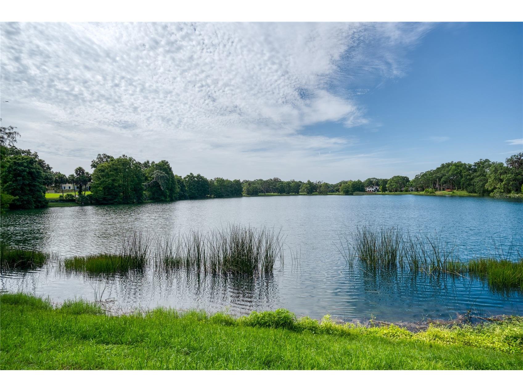 568 S Osceola Avenue #15 Orlando FL 32801 - LAKE CHEROKEE O6374882 image37