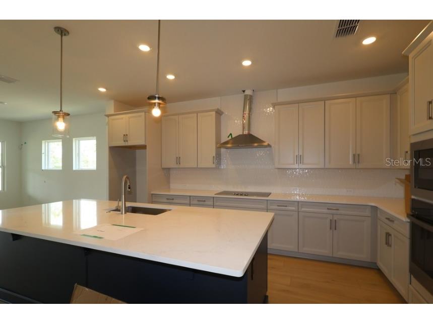 5681 Leaflet Trail Mount Dora FL 32757 TB8523043 image5