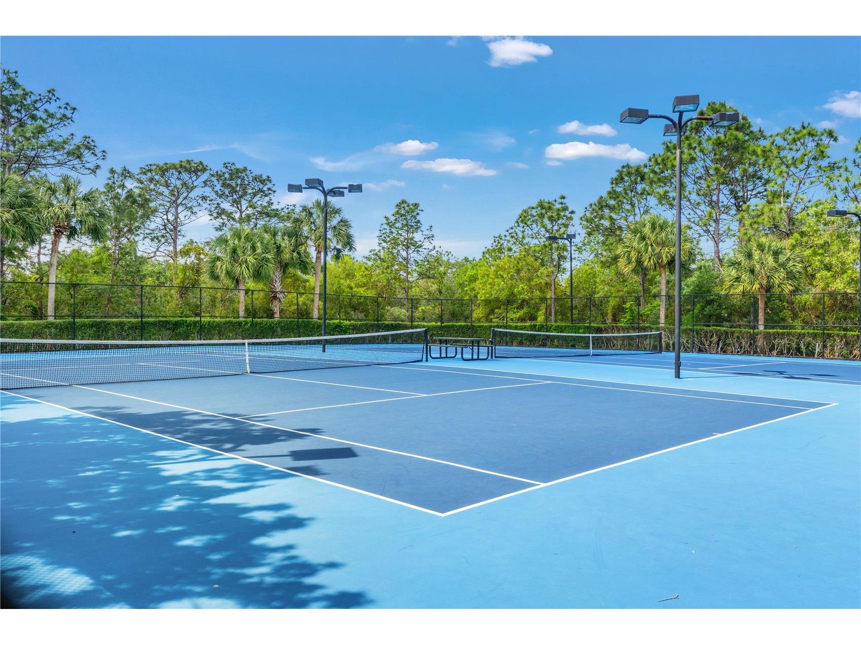 5683 Brackenwood Drive Spring Hill FL 34609 W7884828 image37