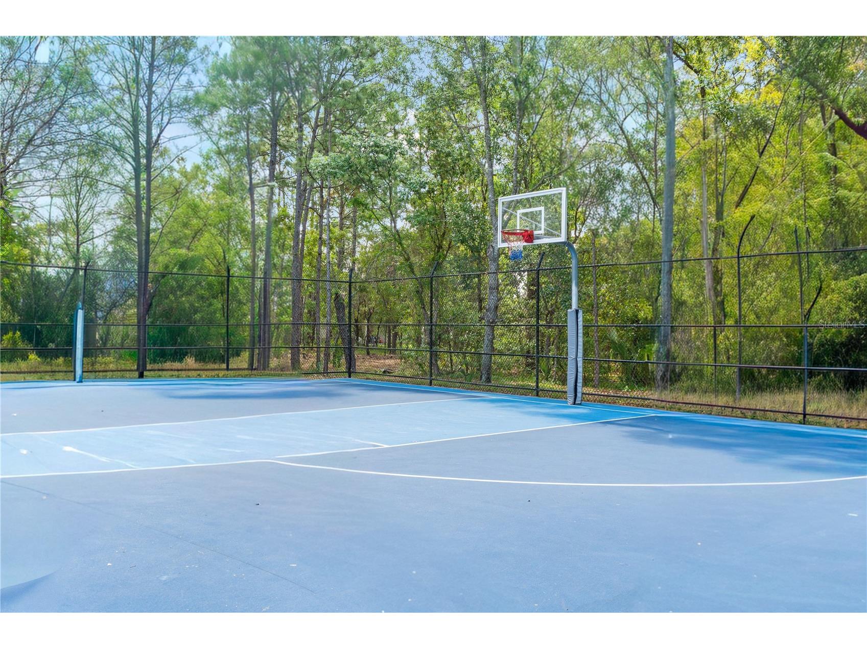 5683 Brackenwood Drive Spring Hill FL 34609 W7884828 image38