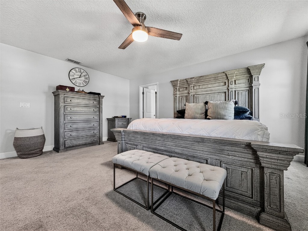 5685 Surprise Lily Drive Winter Garden FL 34787 O6353593 image16