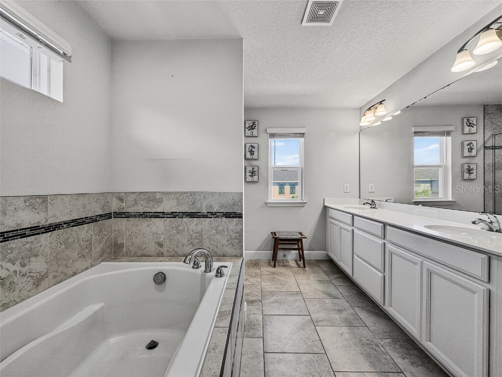 5685 Surprise Lily Drive Winter Garden FL 34787 O6353593 image17