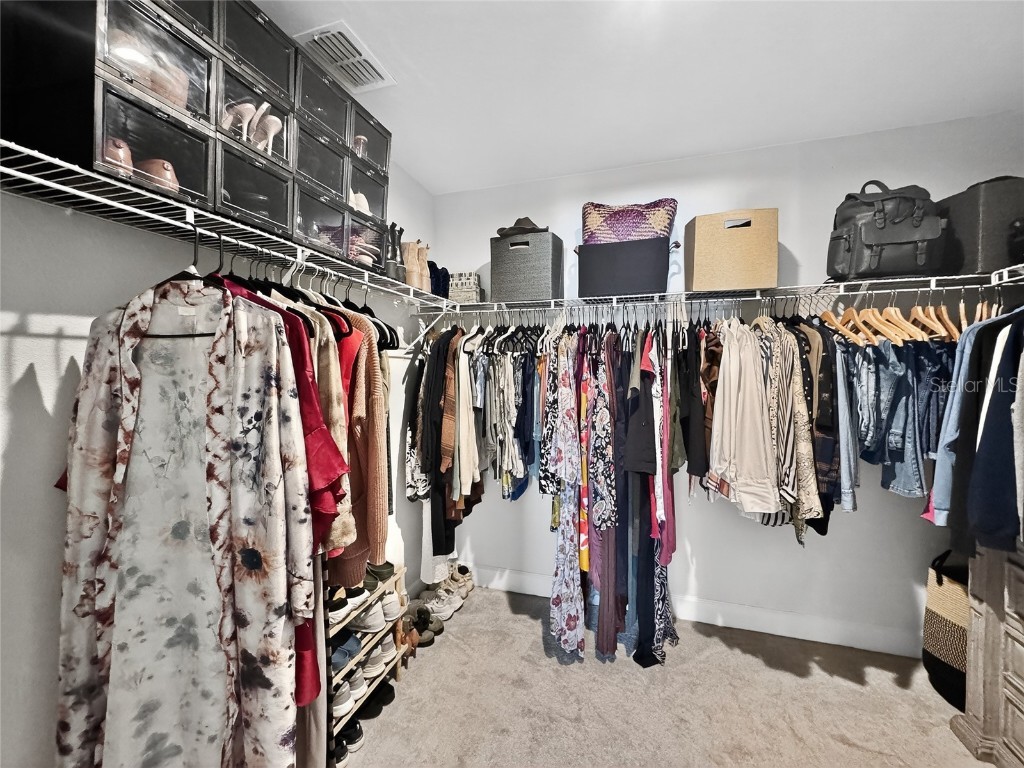 5685 Surprise Lily Drive Winter Garden FL 34787 O6353593 image20