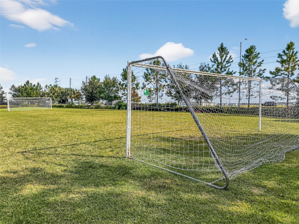 5685 Surprise Lily Drive Winter Garden FL 34787 O6353593 image31