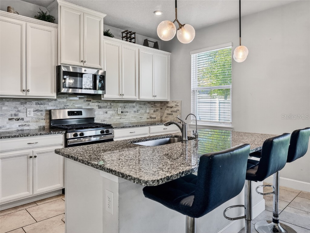 5685 Surprise Lily Drive Winter Garden FL 34787 O6353593 image7