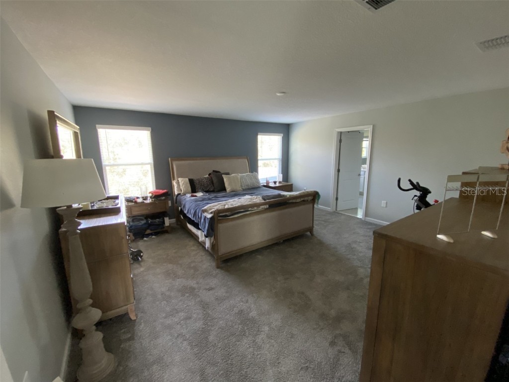 5686 Alenlon Way Mount Dora FL 32757 G5105258 image32