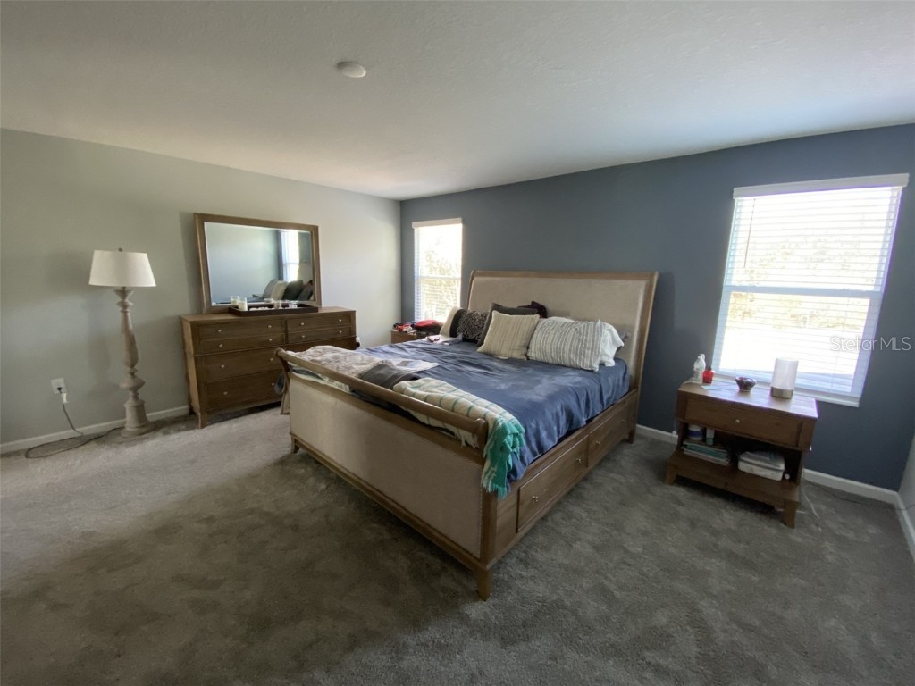 5686 Alenlon Way Mount Dora FL 32757 G5105258 image33