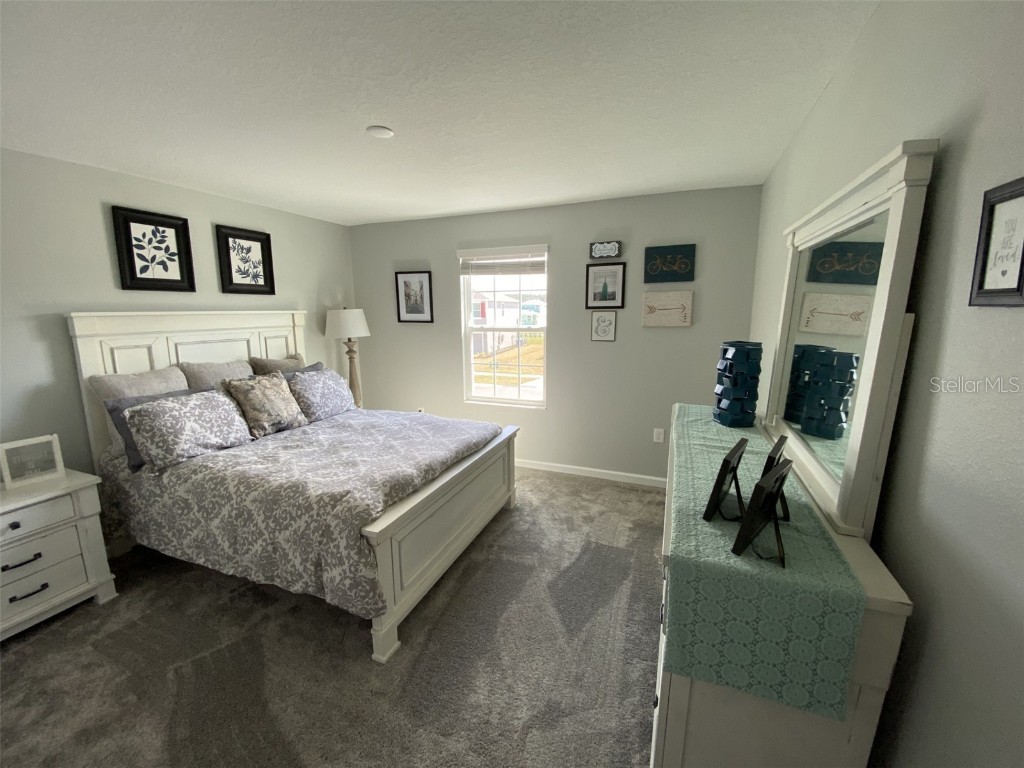 5686 Alenlon Way Mount Dora FL 32757 G5105258 image38