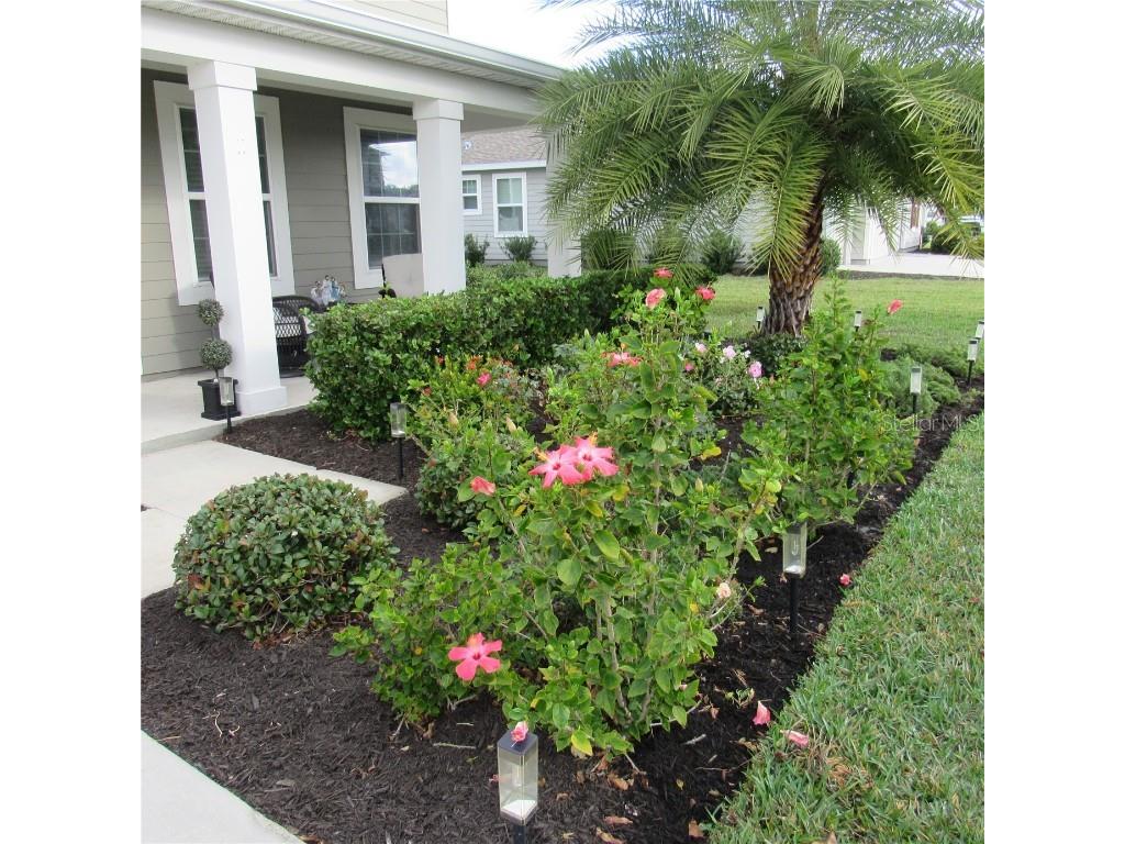 5686 Alenlon Way Mount Dora FL 32757 G5105258 image6