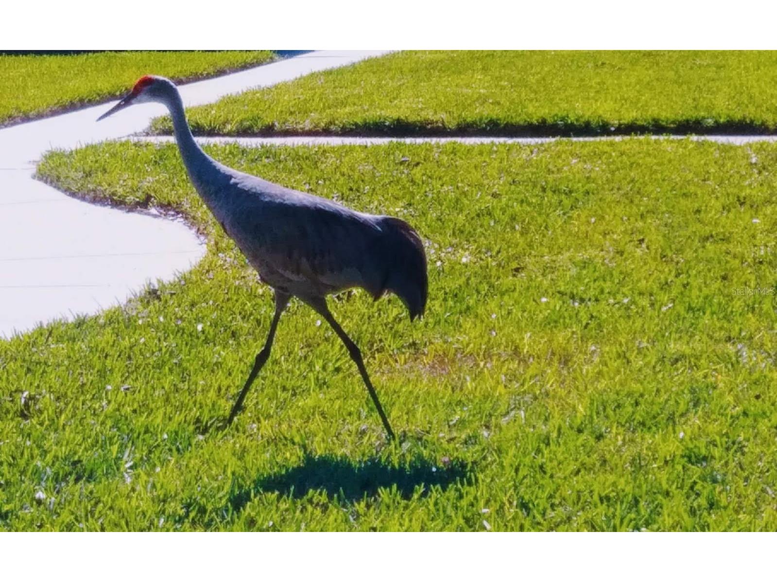 5688 Mashie Circle North Port FL 34287 C7514125 image46