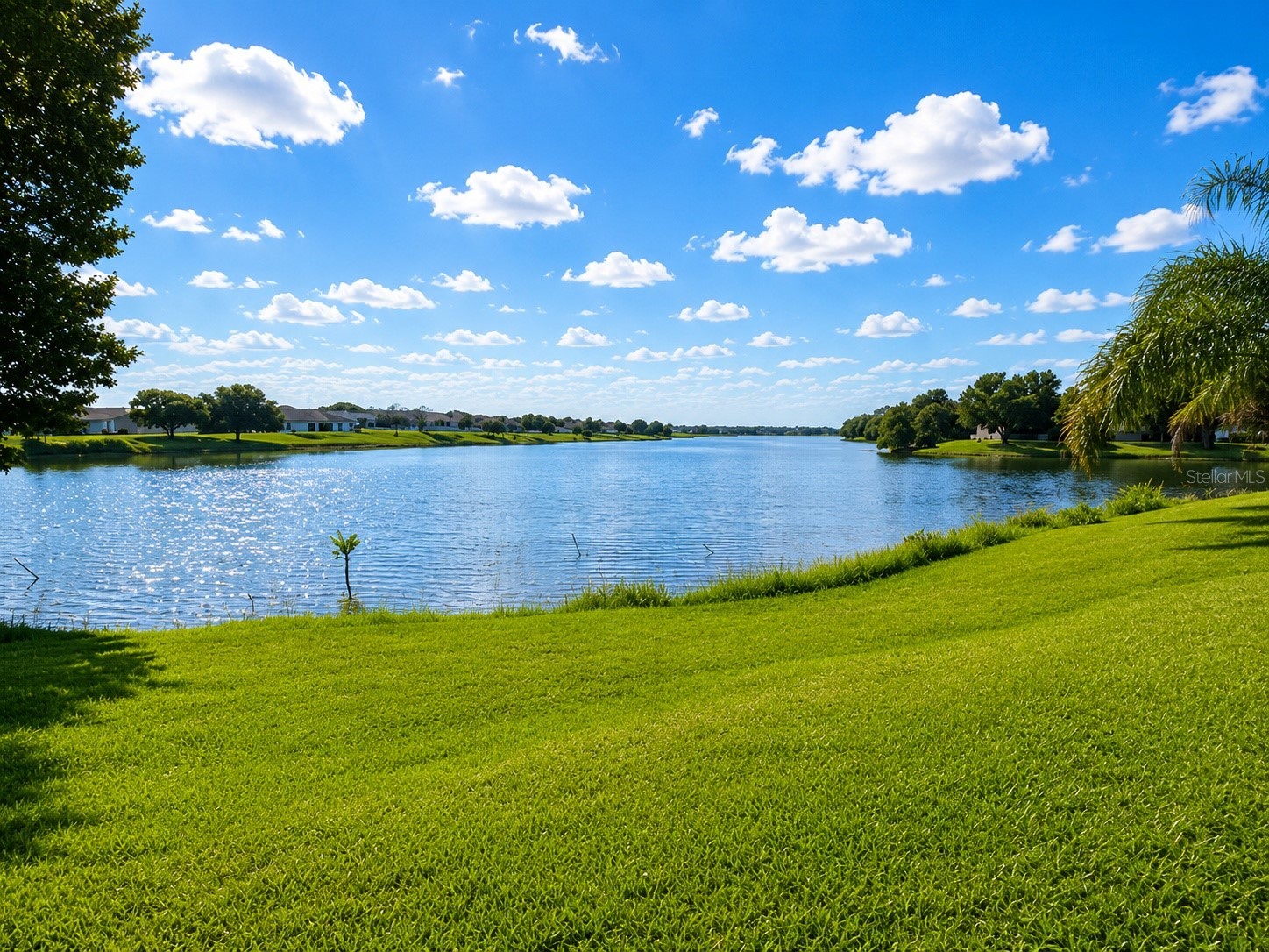 5689 Elsinore Way Lakeland FL 33805 TB8517719 image7