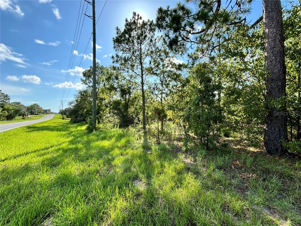 5689 W Dunnellon Road Dunnellon FL 34433 OM683836 image1