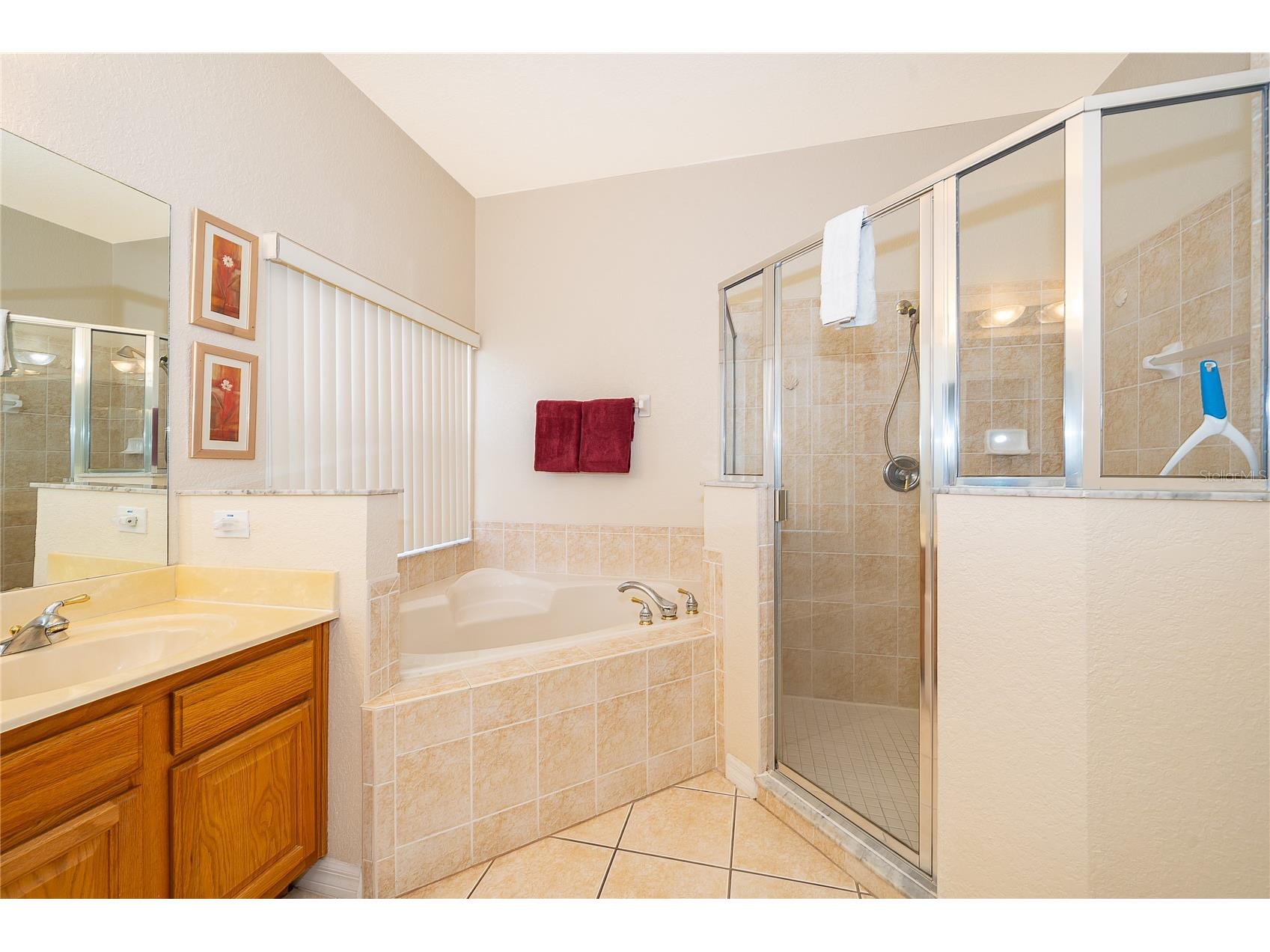 569 Burford Circle Davenport FL 33896 S5146858 image13