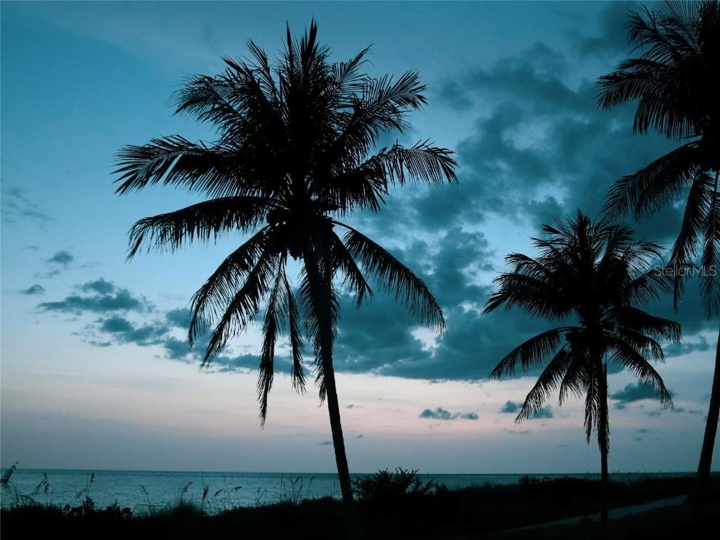 569 Juan Anasco Drive Longboat Key FL 34228 - JUAN ANASCO CANAL/SLEEPY A4669634 image72