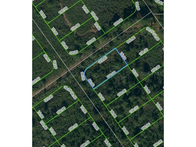 569 Kennedy Street Lake Placid FL 33852 OM624746 image1