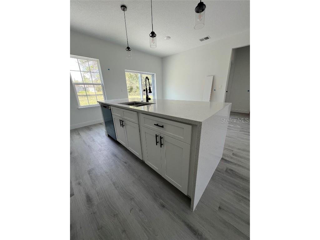 569 Marion Oaks Manor Ocala FL 34473 O6319647 image10