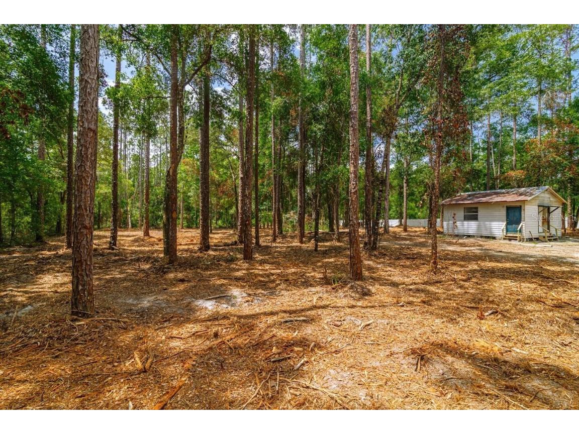 569 NE 356th Avenue Old Town FL 32680 O6318305 image1