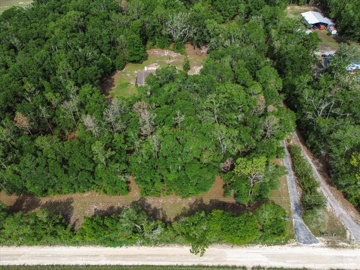 569 NW 40th Avenue Bell FL 32619 TB8512096 image42