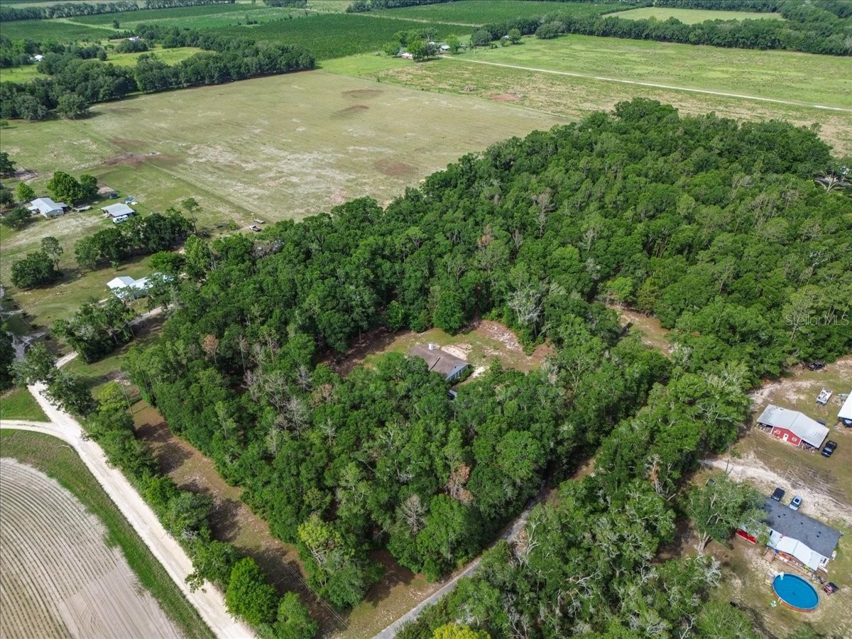 569 NW 40th Avenue Bell FL 32619 TB8512096 image43