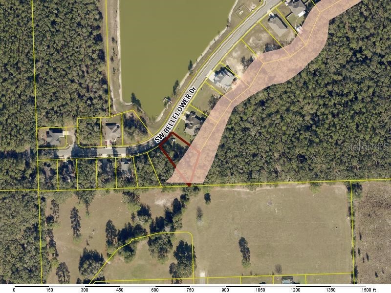 569 SW Bellflower Drive Lake City FL 32024 GC537715 image2
