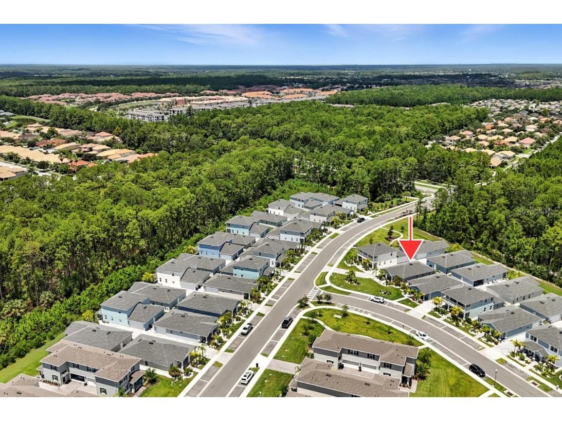 569 Venetian Palms Boulevard New Smyrna Beach FL 32168 O6334304 image43