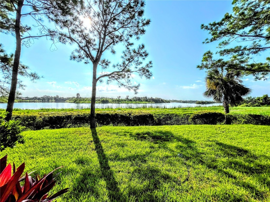 5691 Key Largo Court #5691 Bradenton FL 34203 - BRADEN RIVER A4655956 image17