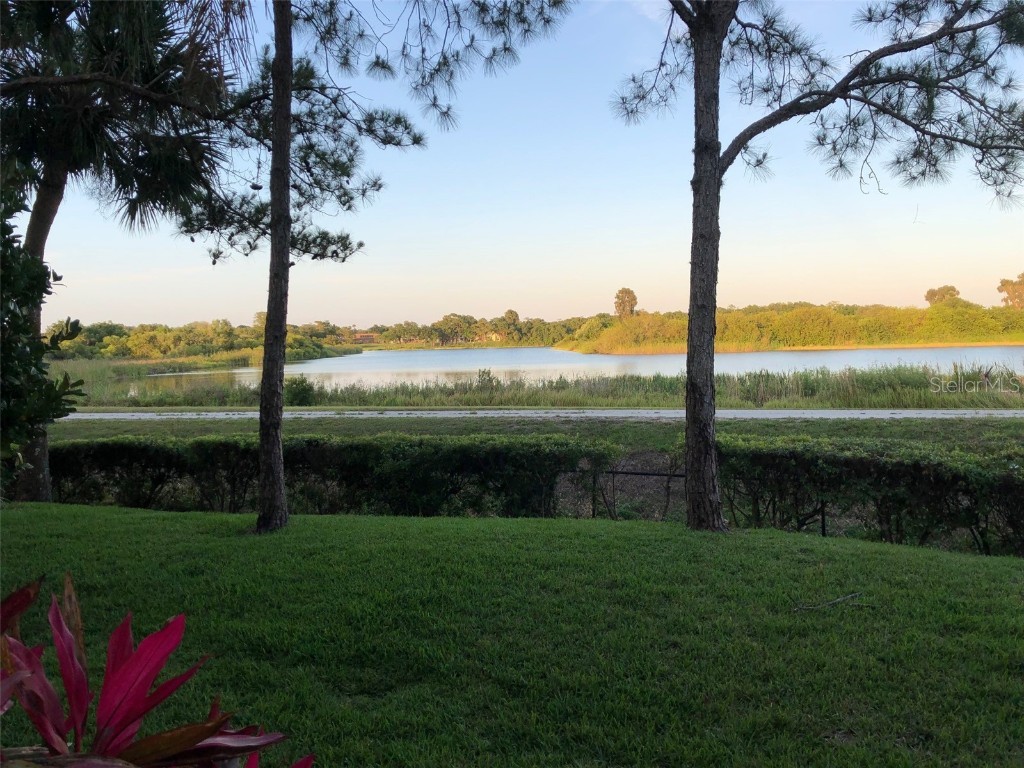 5691 Key Largo Court #5691 Bradenton FL 34203 - BRADEN RIVER A4655956 image65