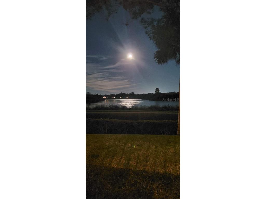 5691 Key Largo Court #5691 Bradenton FL 34203 - BRADEN RIVER A4655956 image74