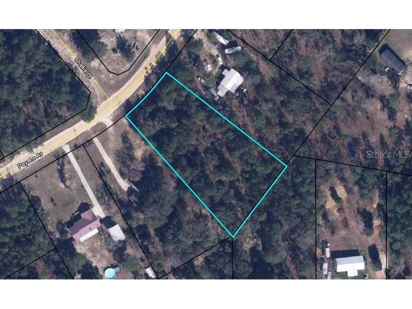 5691 Payette Avenue Keystone Heights FL 32656 OM615943 image1