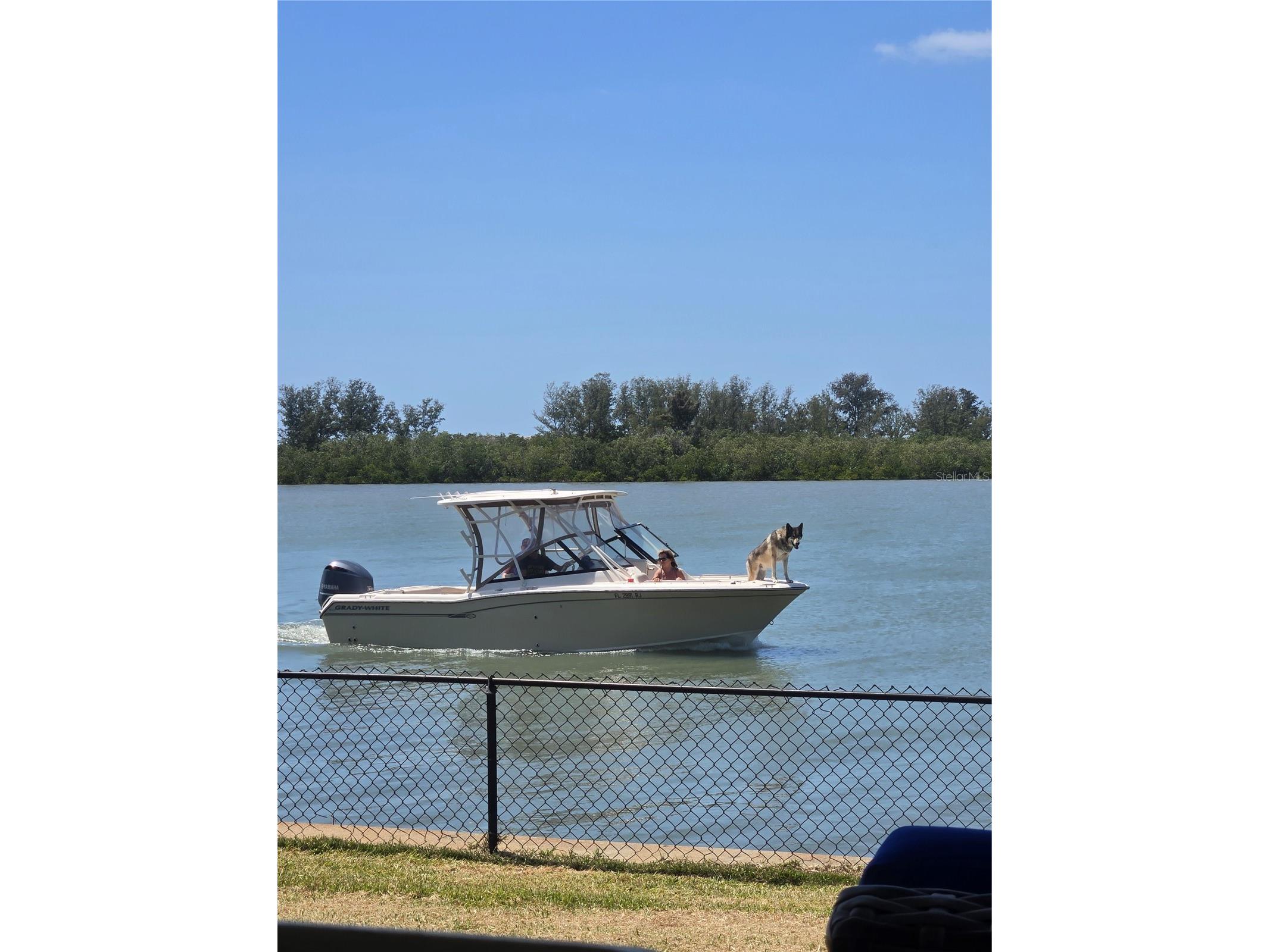 5694 Oakhurst Drive Seminole FL 33772 TB8449649 image61