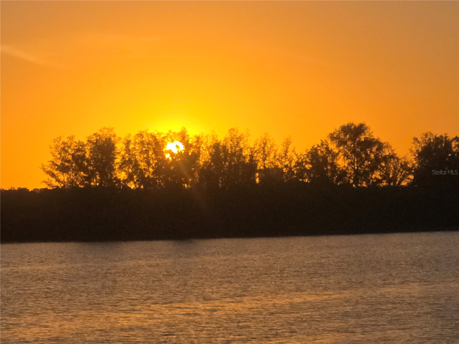 5694 Oakhurst Drive Seminole FL 33772 TB8449649 image74