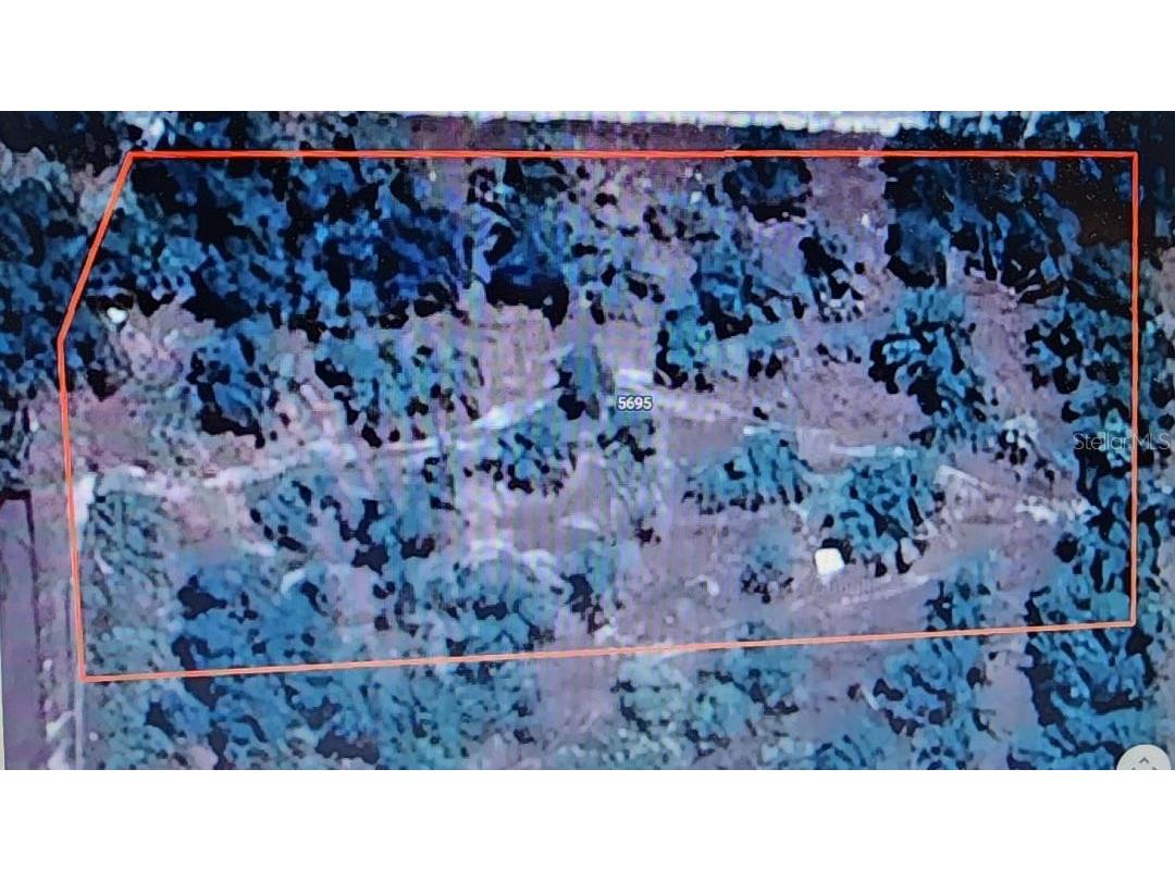 5695 Swaying Palm Drive Punta Gorda FL 33982 O6287302 image2