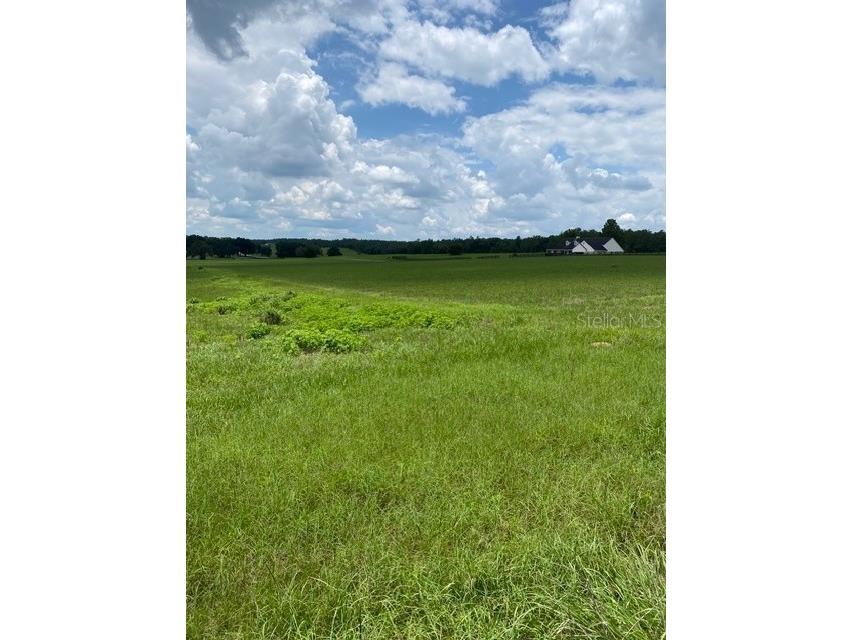 5698 Quicksilver Floral City FL 34436 TB8517162 image13