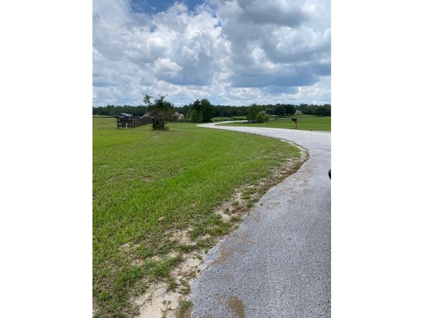 5698 Quicksilver Floral City FL 34436 TB8517162 image14