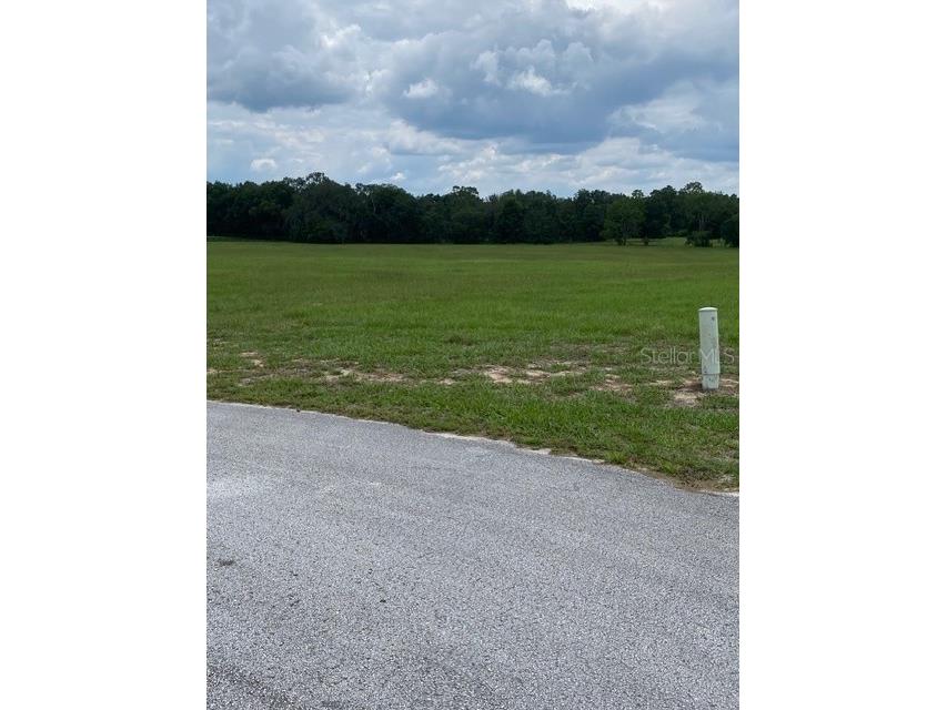 5698 Quicksilver Floral City FL 34436 TB8517162 image2