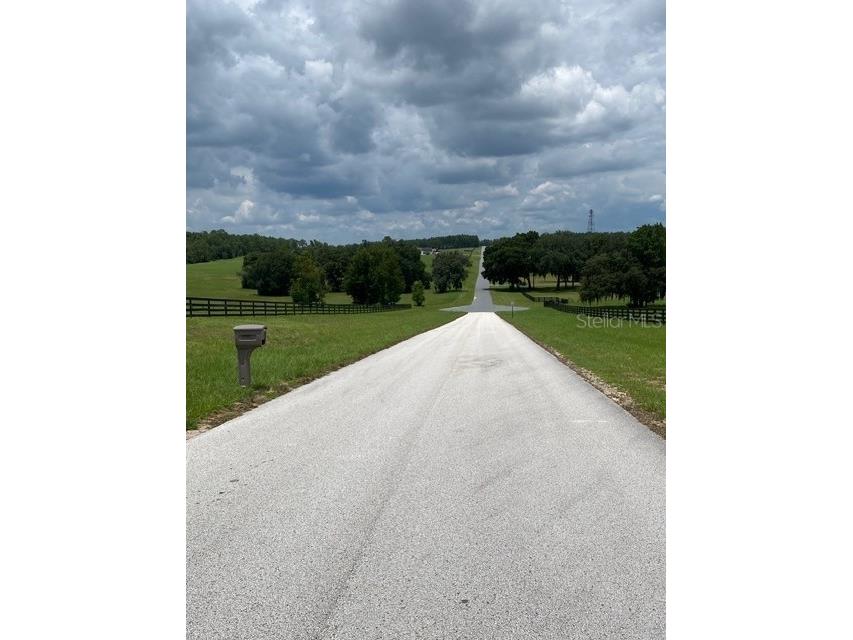 5698 Quicksilver Floral City FL 34436 TB8517162 image6
