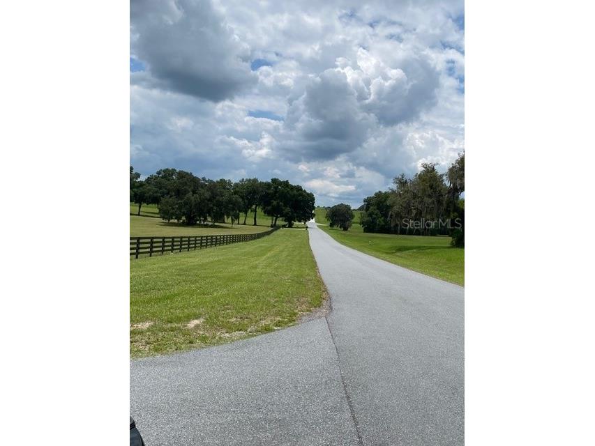 5698 Quicksilver Floral City FL 34436 TB8517162 image9