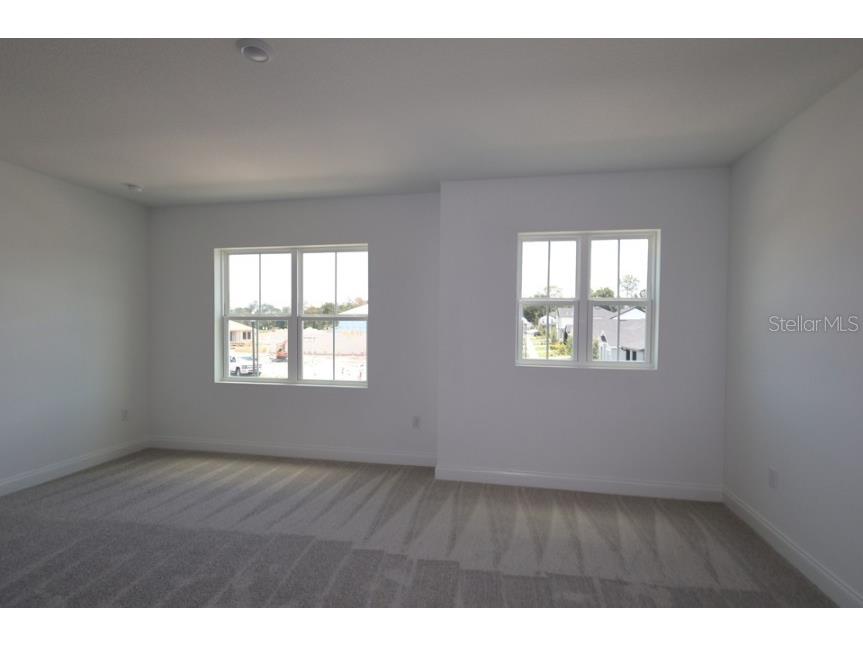 5699 Leaflet Trail Mount Dora FL 32757 TB8522970 image8