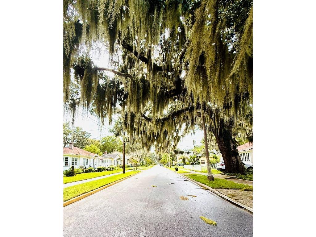 57 Fullerwood Drive Saint Augustine FL 32084 FC312795 image6