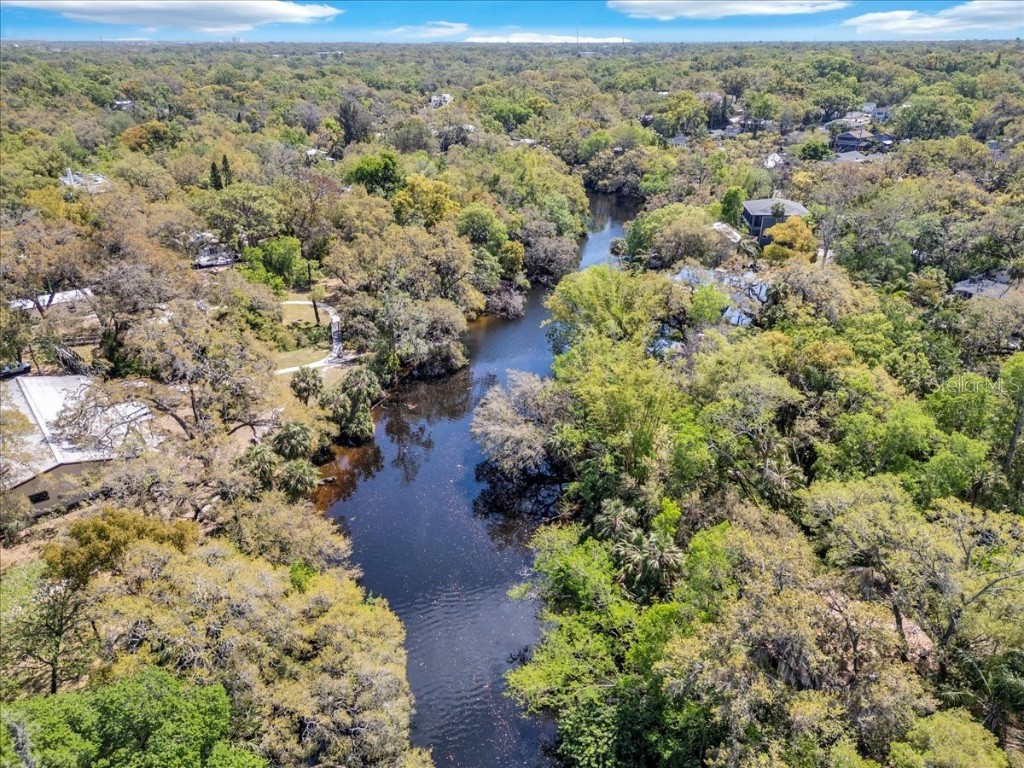 57 Hamilton Heath Dr Drive Tampa FL 33604 TB8364535 image11