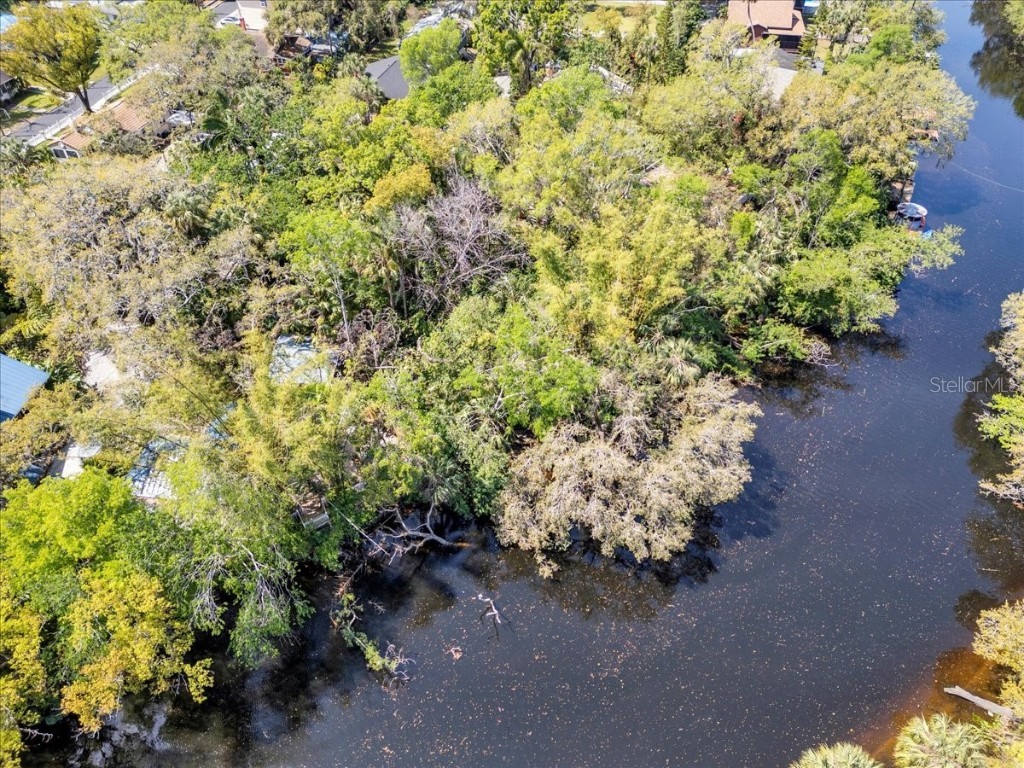 57 Hamilton Heath Dr Drive Tampa FL 33604 TB8364535 image14