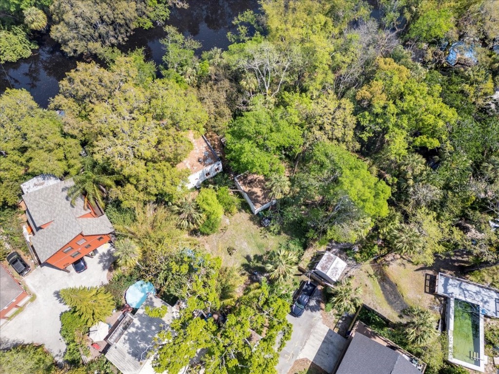 57 Hamilton Heath Dr Drive Tampa FL 33604 TB8364535 image15