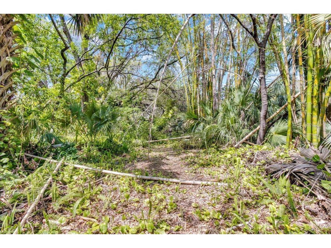 57 Hamilton Heath Dr Drive Tampa FL 33604 TB8364535 image20