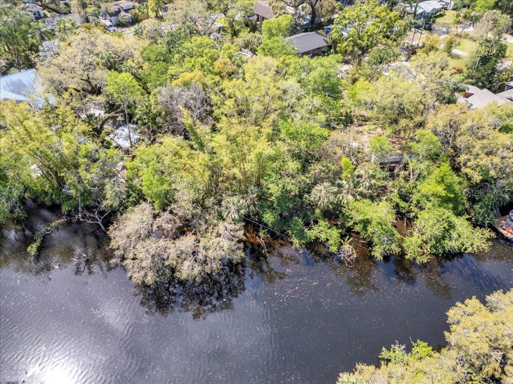 57 Hamilton Heath Drive Tampa FL 33604 - HILLSBOROUGH RIVER TB8364306 image13