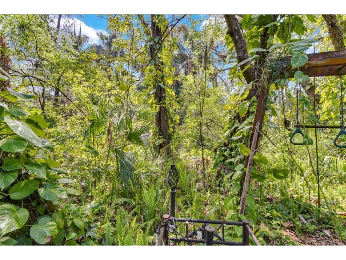 57 Hamilton Heath Drive Tampa FL 33604 - HILLSBOROUGH RIVER TB8364306 image21