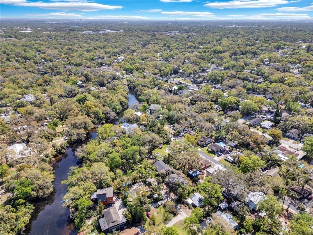 57 Hamilton Heath Drive Tampa FL 33604 - HILLSBOROUGH RIVER TB8364306 image7