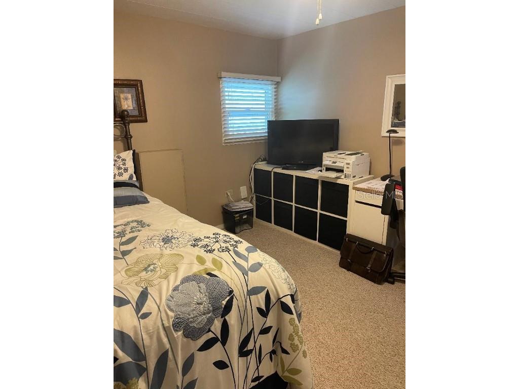 57 Harbor Way #24 Palm Harbor FL 34684 - LAKE TARPON TB8374884 image20